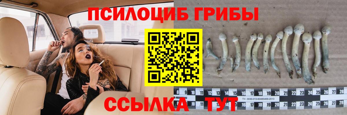 Галлюциногенные грибы Psilocybe Воткинск
